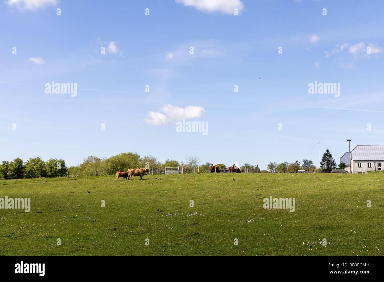 Splendida vista sul campo e sulla fattoria. Foto Stock