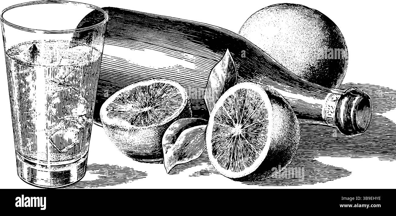 Set illustrativo inciso di ingredienti aperol spritz con arance per la progettazione di bevande. Illustrazione Vettoriale