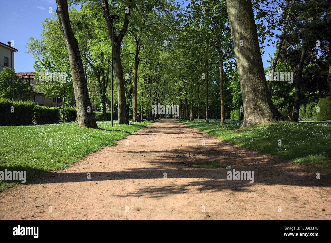 Sentiero con ombre di alberi incastonati sul terreno in un parco pubblico di una città italiana Foto Stock
