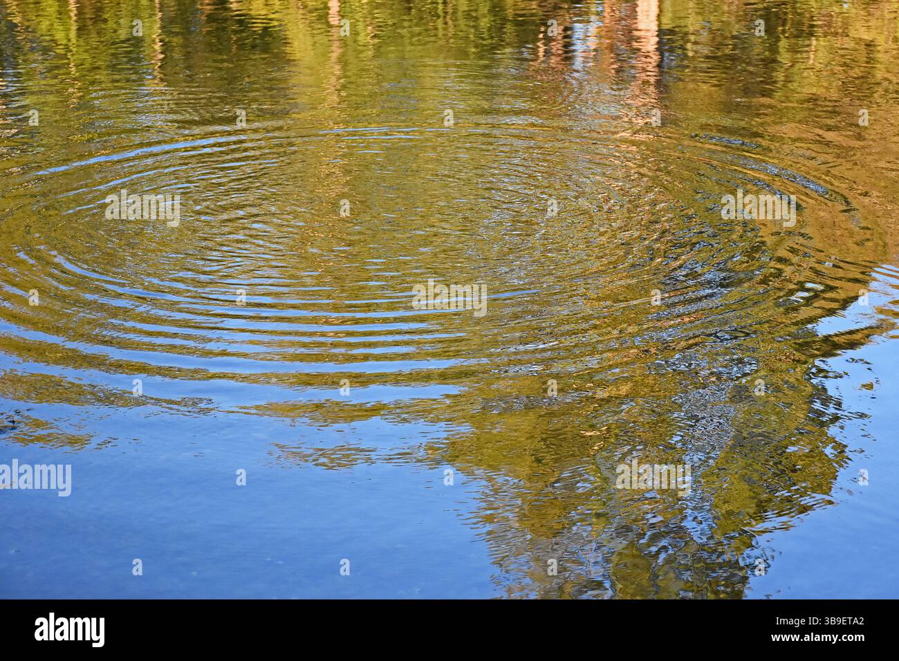 Cerchi d'acqua Foto Stock