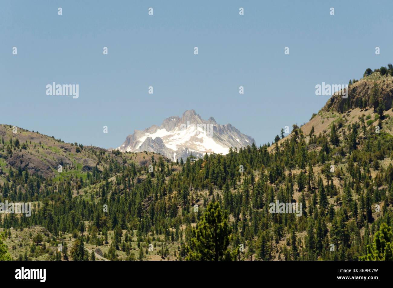 Neve sulle cime delle montagne vicino a Coleville Foto Stock