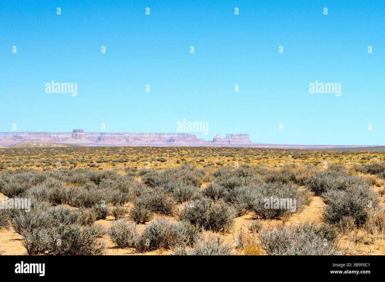 Cespugli, arbusti e montagne all'orizzonte Foto Stock
