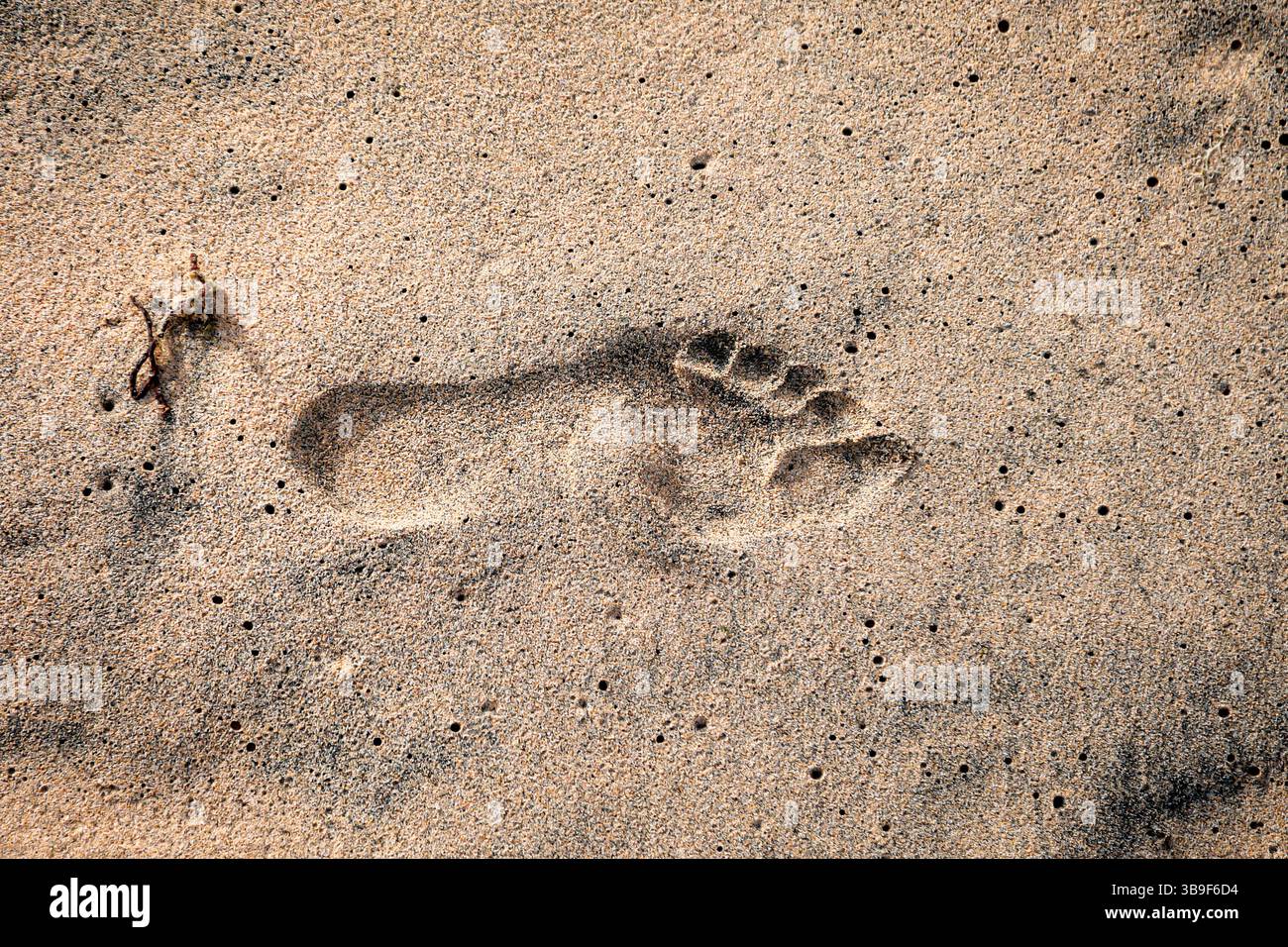 L'impronta di una persona nella sabbia bagnata sulla spiaggia Foto Stock