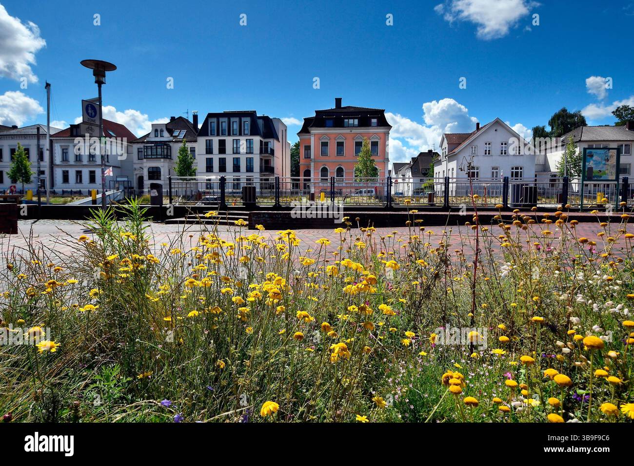 Fiori selvatici in fiore di fronte alle case cittadine nel porto di Oldenburg Foto Stock