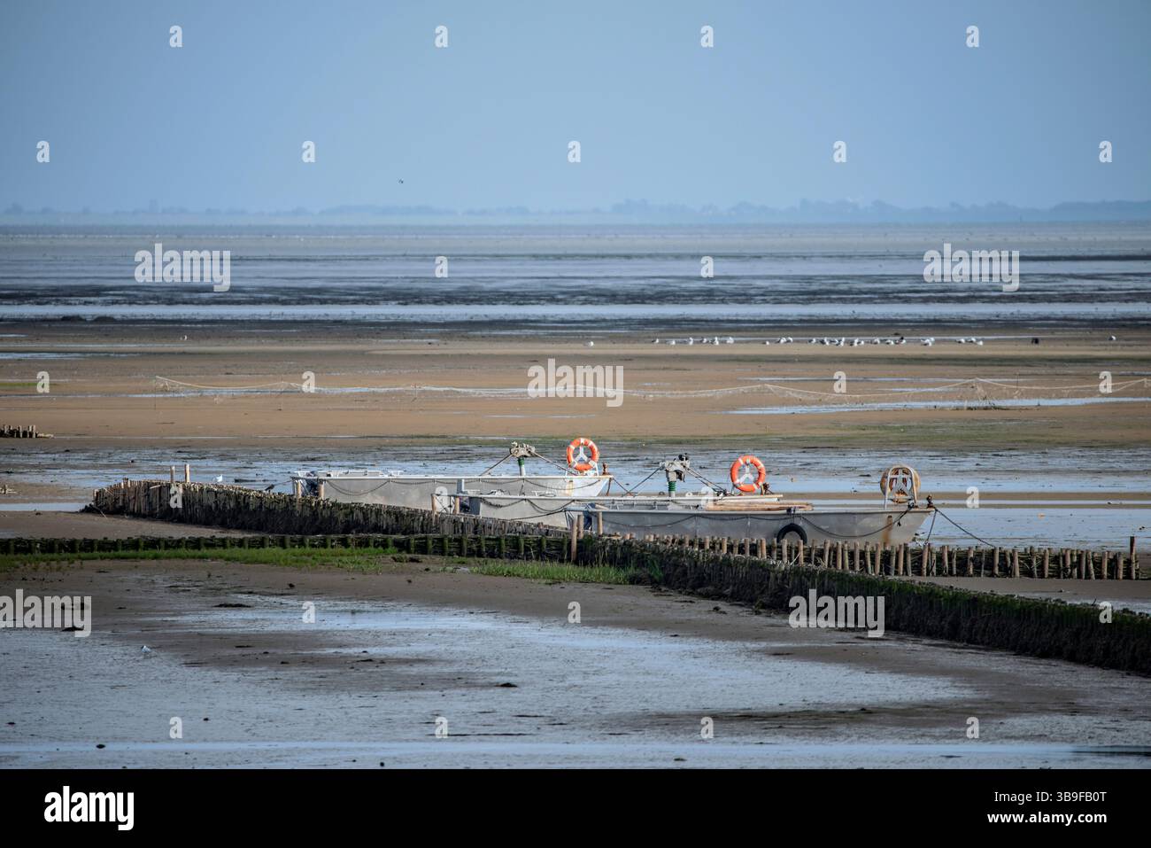 Parco Nazionale del Mare di Wadden Foto Stock