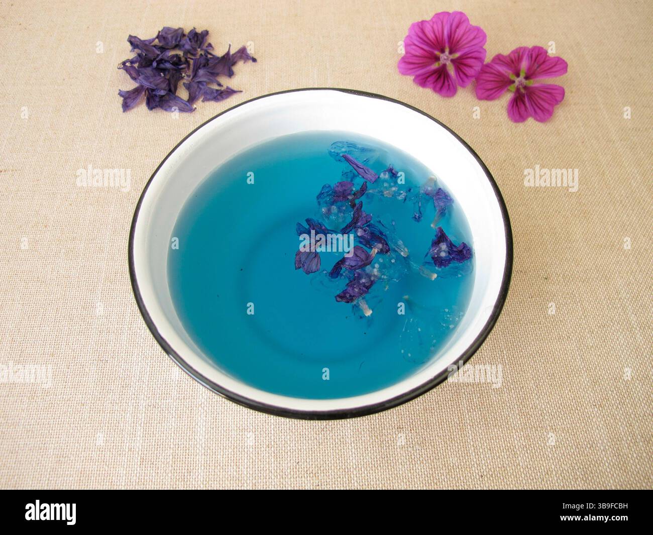 Bagno di tintura blu da fiori di malva essiccati, colorante di piante blu Foto Stock