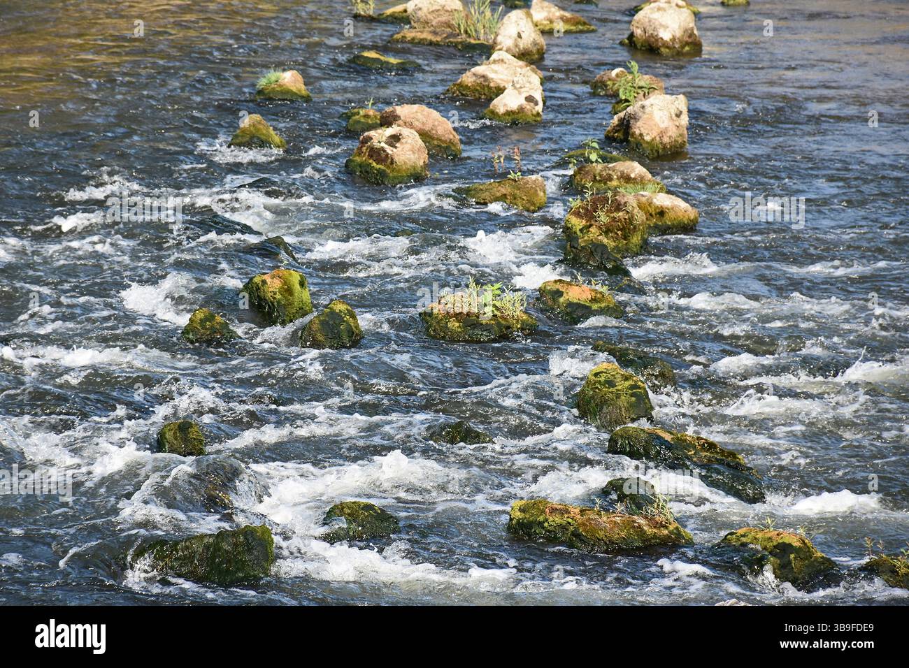 Pietre di fiume Foto Stock