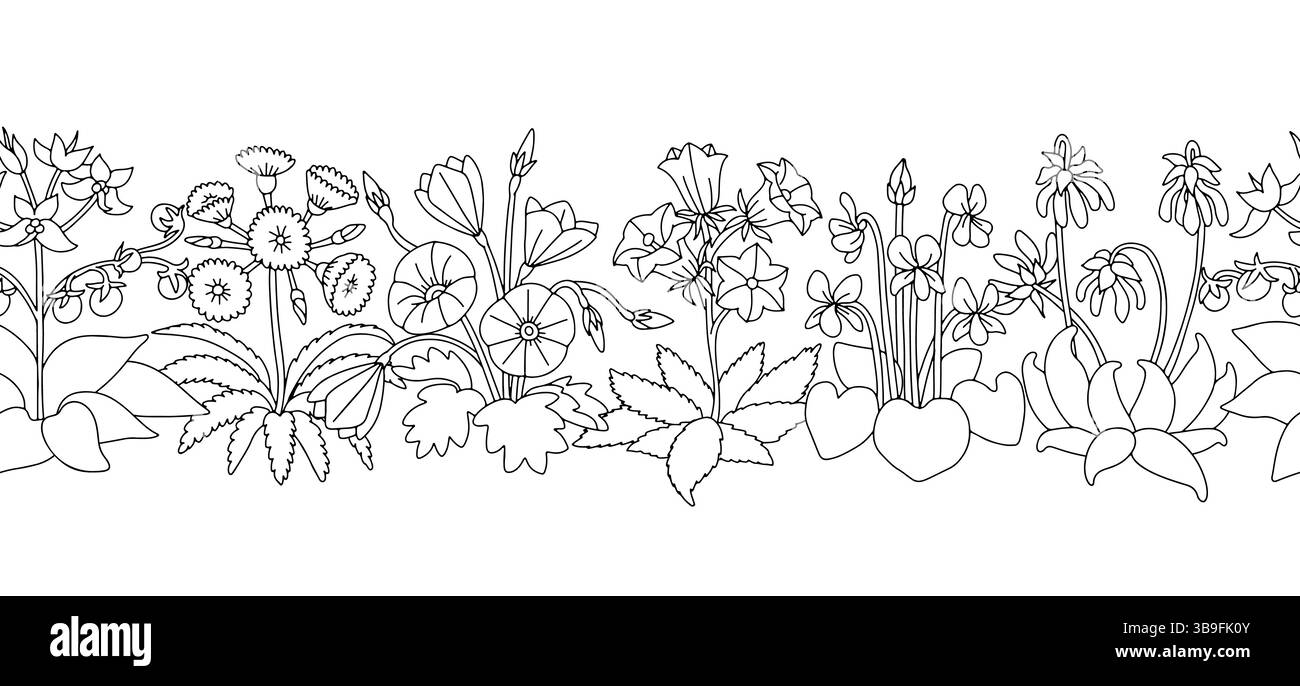 Motivo a strisce con tulipani lineari in bianco e nero. Bordo floreale senza cuciture con fiori primaverili disegnati a mano Illustrazione Vettoriale