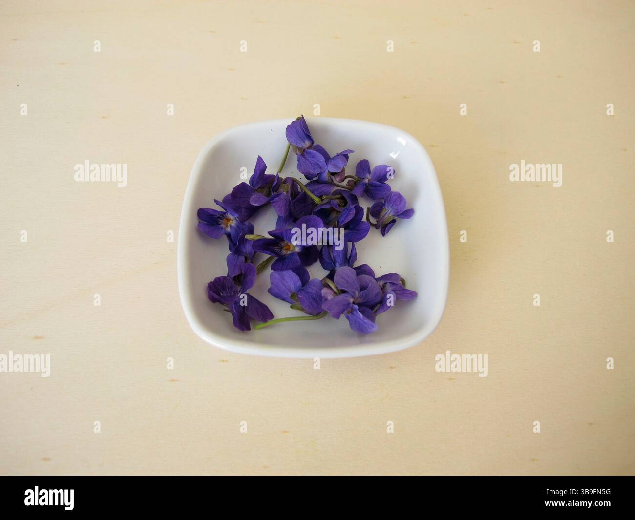 Viola profumata, fiori della viola profumata su un asse di legno Foto Stock