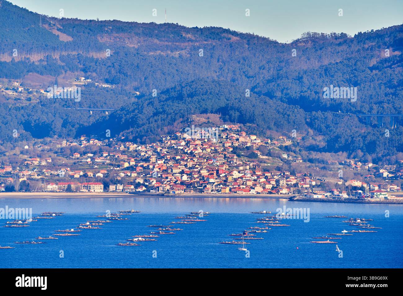 Ria de Vigo, vista dal Parco del Monte do Castro, sullo sfondo delle fattorie di cozze e del comune di Moaña nel Morrazo, Vigo, Pontevedra, Galici Foto Stock