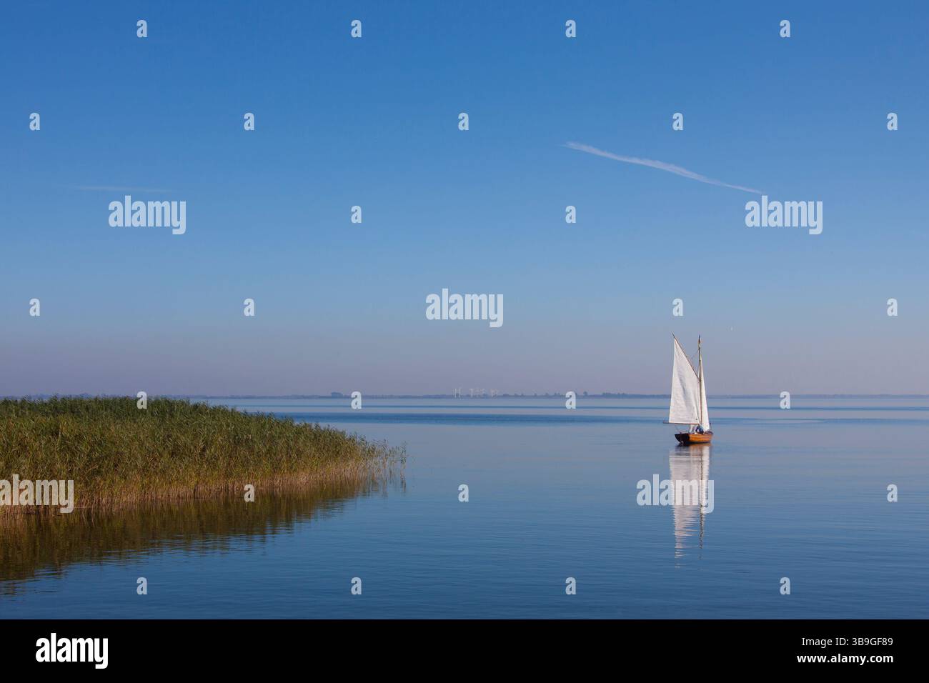 Barca a vela, riflessione, Parco nazionale dell'area della laguna della Pomerania occidentale, Meclemburgo-Pomerania occidentale, Germania Foto Stock