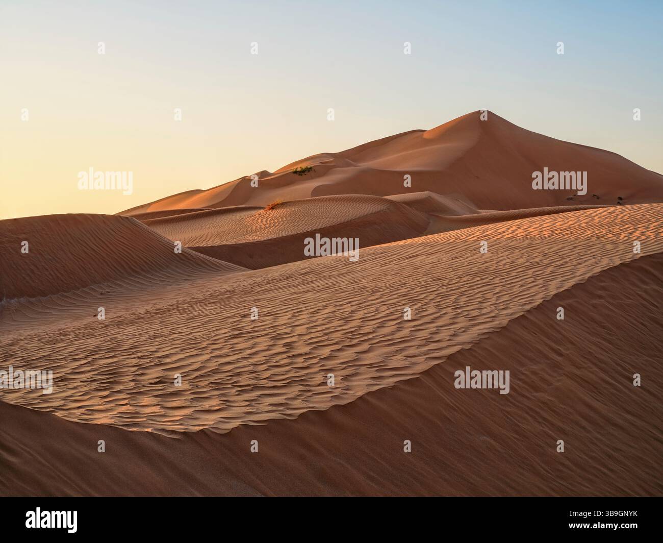Sulla strada nel Rub al Khali in Oman Foto Stock