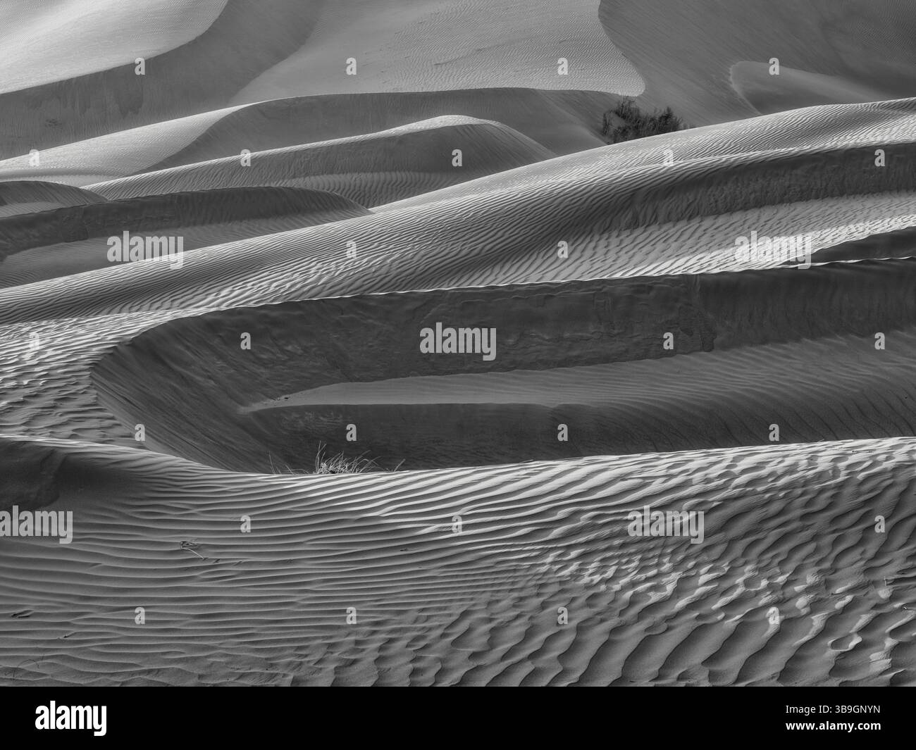 Sulla strada nel Rub al Khali in Oman Foto Stock