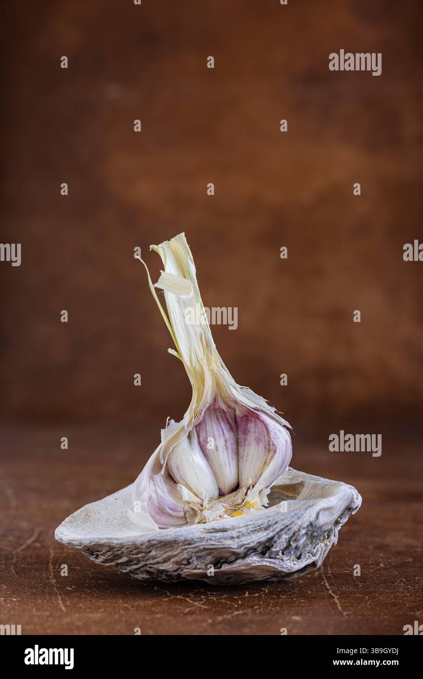 Bulbo di aglio Foto Stock