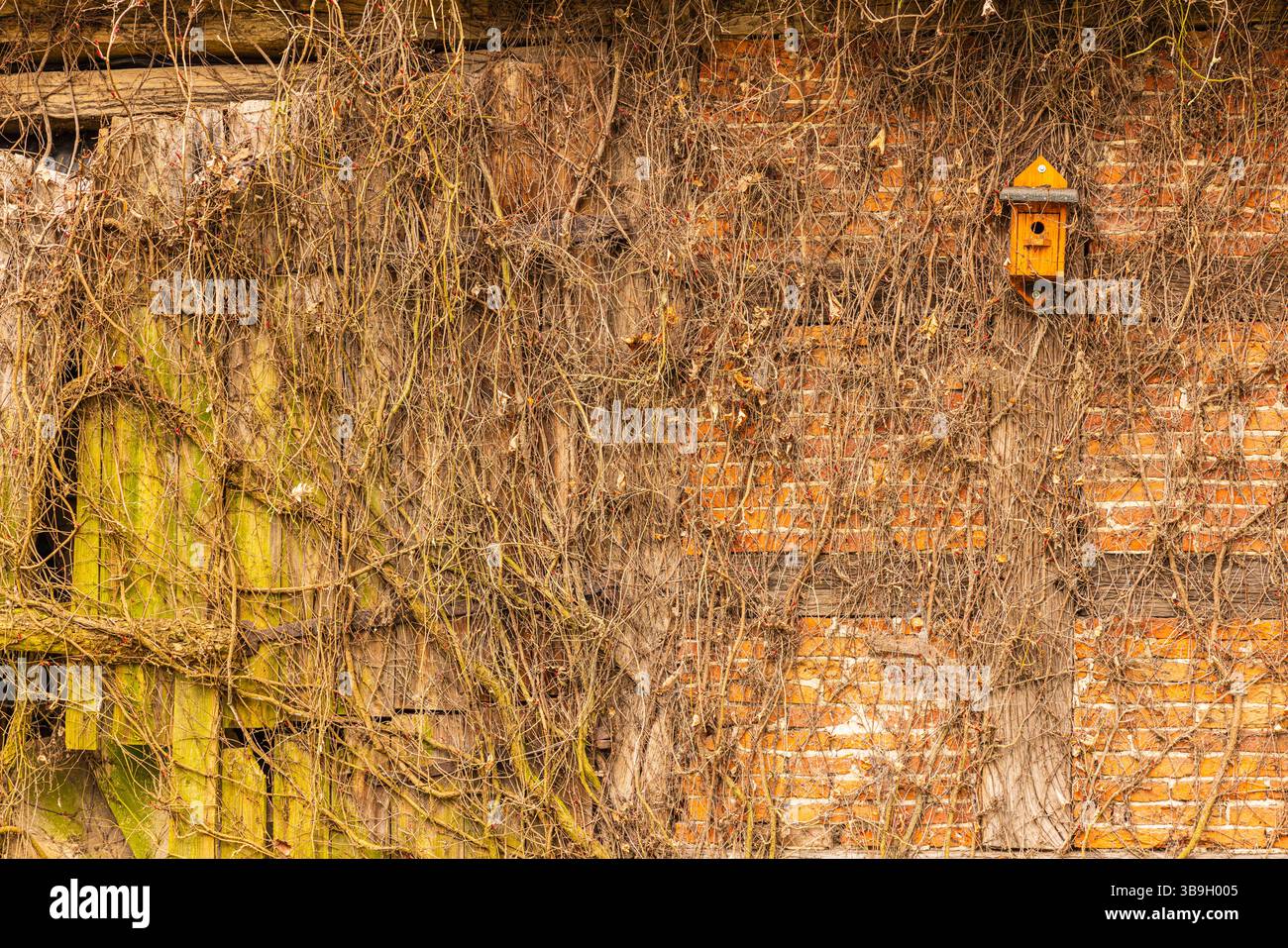Casa degli uccelli su un vecchio fienile rustico alla fine dell'autunno Foto Stock