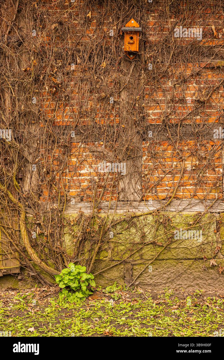 Casa degli uccelli su un vecchio fienile rustico alla fine dell'autunno Foto Stock