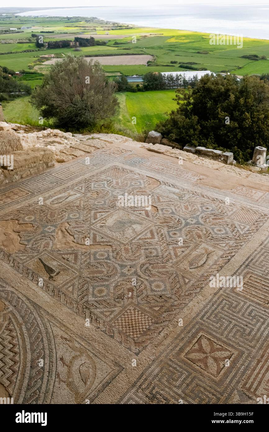 Cipro, Episkopi, Kourion, il sito archeologico di Kourion, la casa di Eustolio, mosaici di pavimento Foto Stock