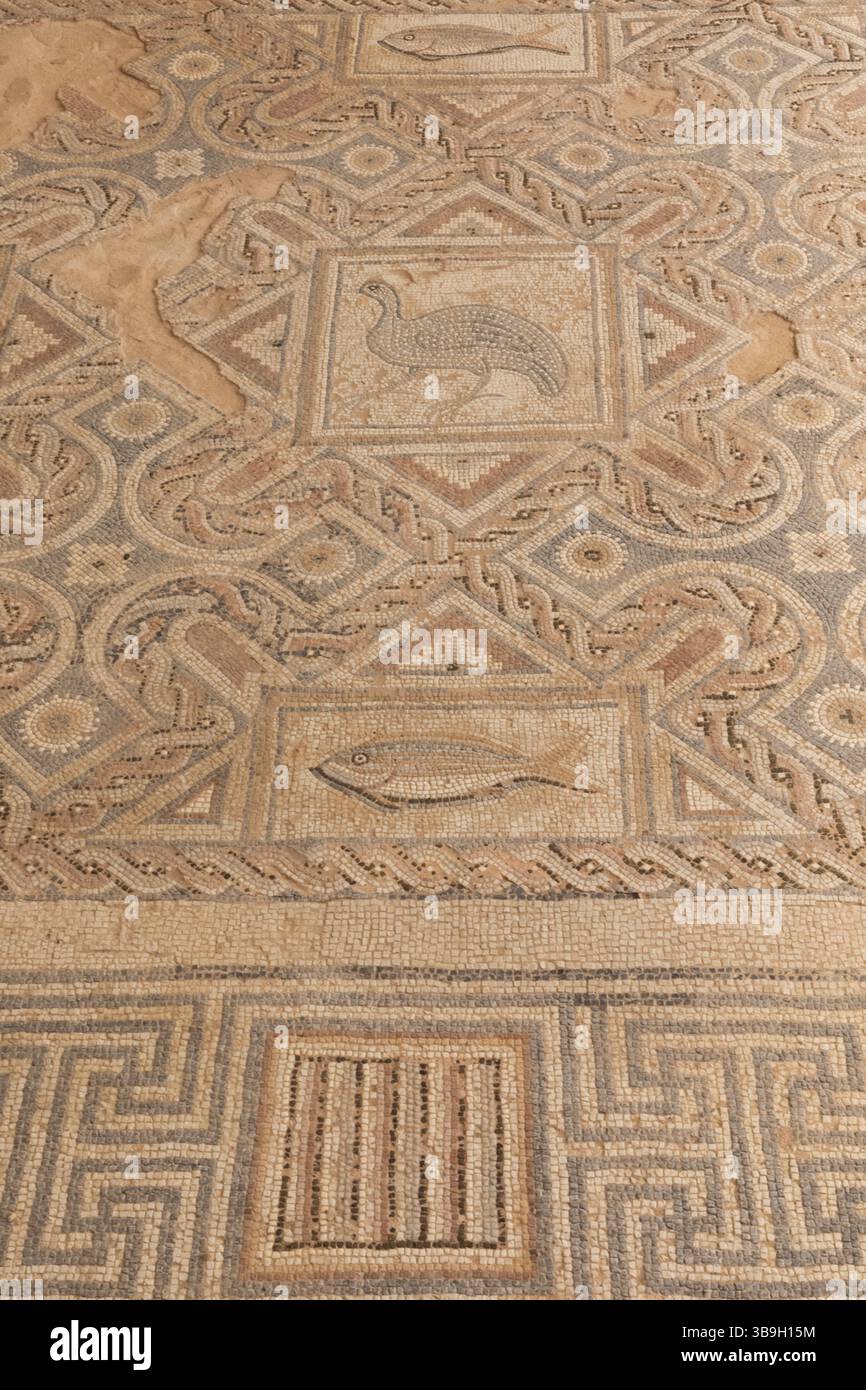 Cipro, Episkopi, Kourion, il sito archeologico di Kourion, la casa di Eustolio, mosaici di pavimento Foto Stock