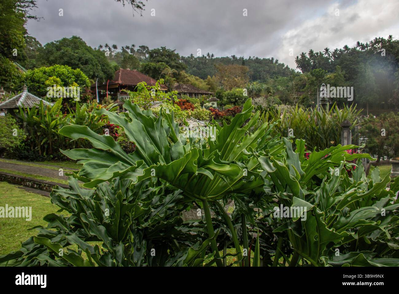 Complesso di templi verdi, giardini circondati da sorgenti naturali con servizi da bagno. Tirta Gangga, Bali, Indonesia Foto Stock
