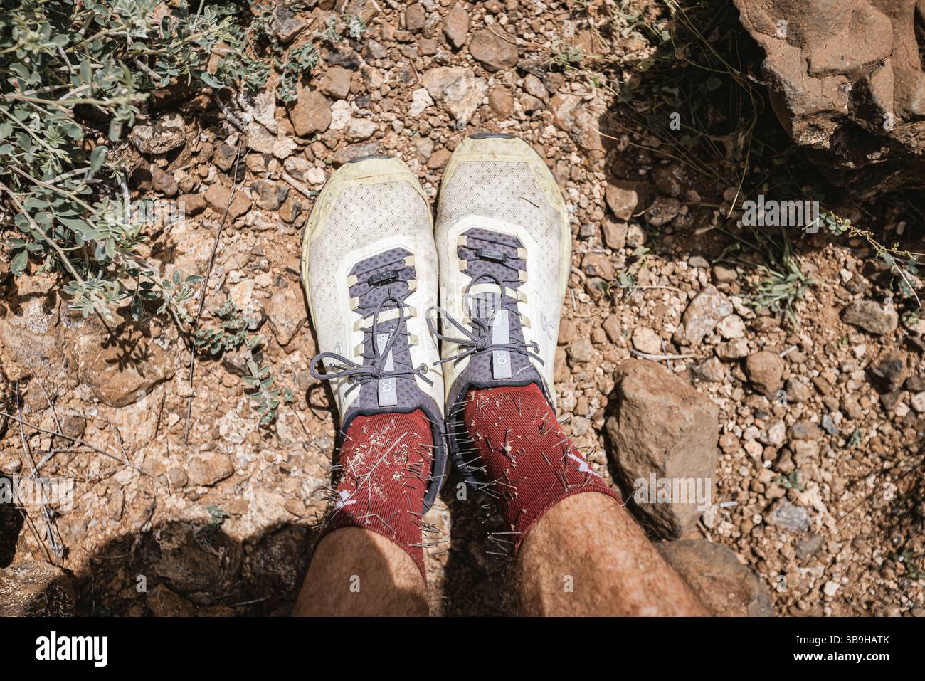 Scarpe e calze ricoperte di spine, Tarrafal, Capo Verde, Africa occidentale Foto Stock