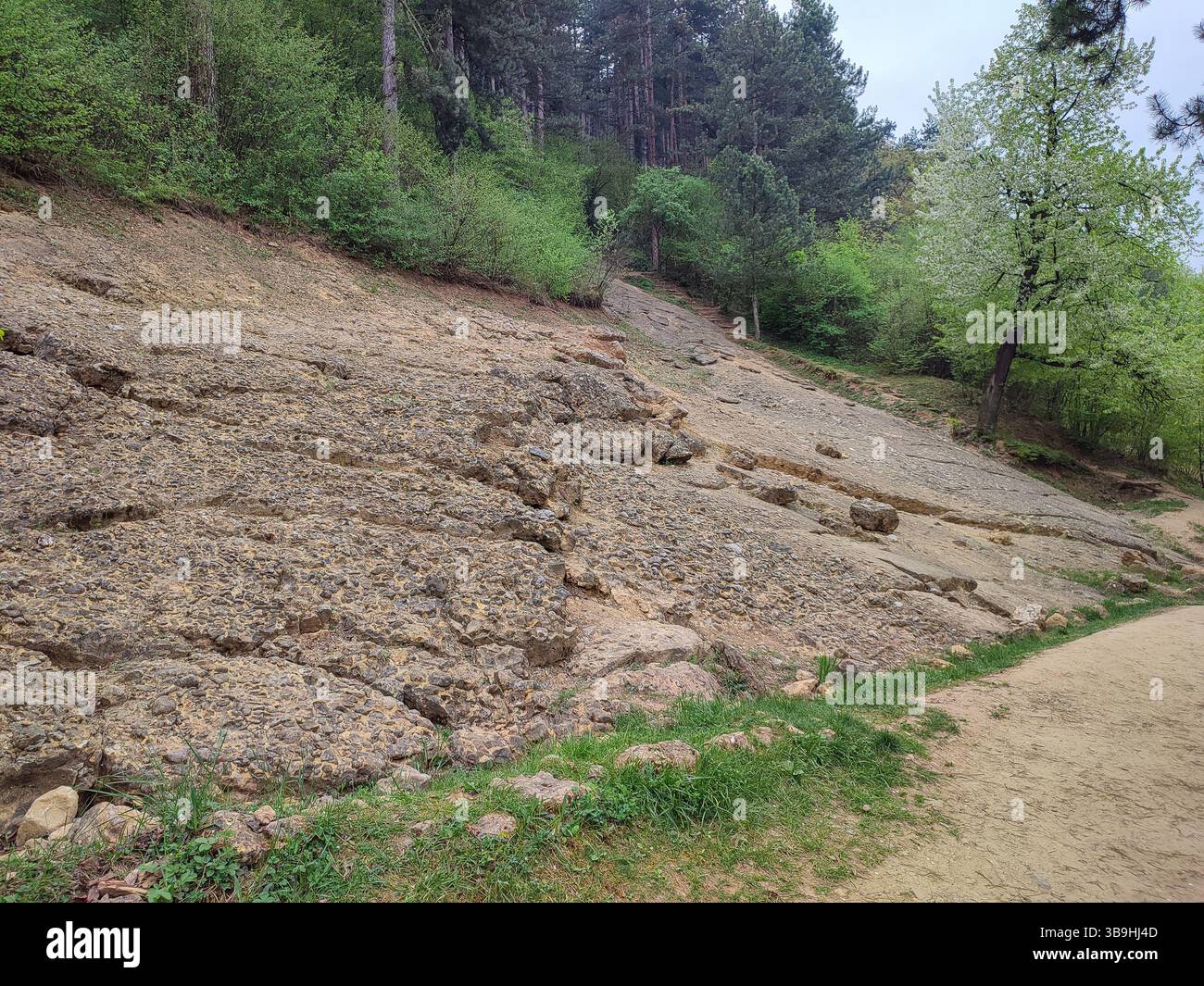 Dettagli della formazione rocciosa sulla pretesa delle piramidi bosniache Foto Stock