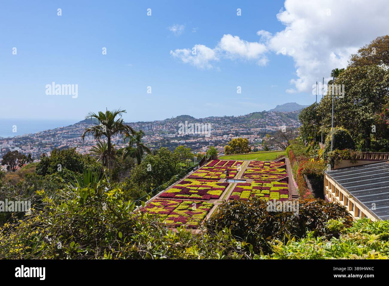 Il Giardino Botanico di Madeira si trova sulla cima della collina di Funchal, con vedute mozzafiato di Madeira e dell'Oceano Atlantico. Foto Stock
