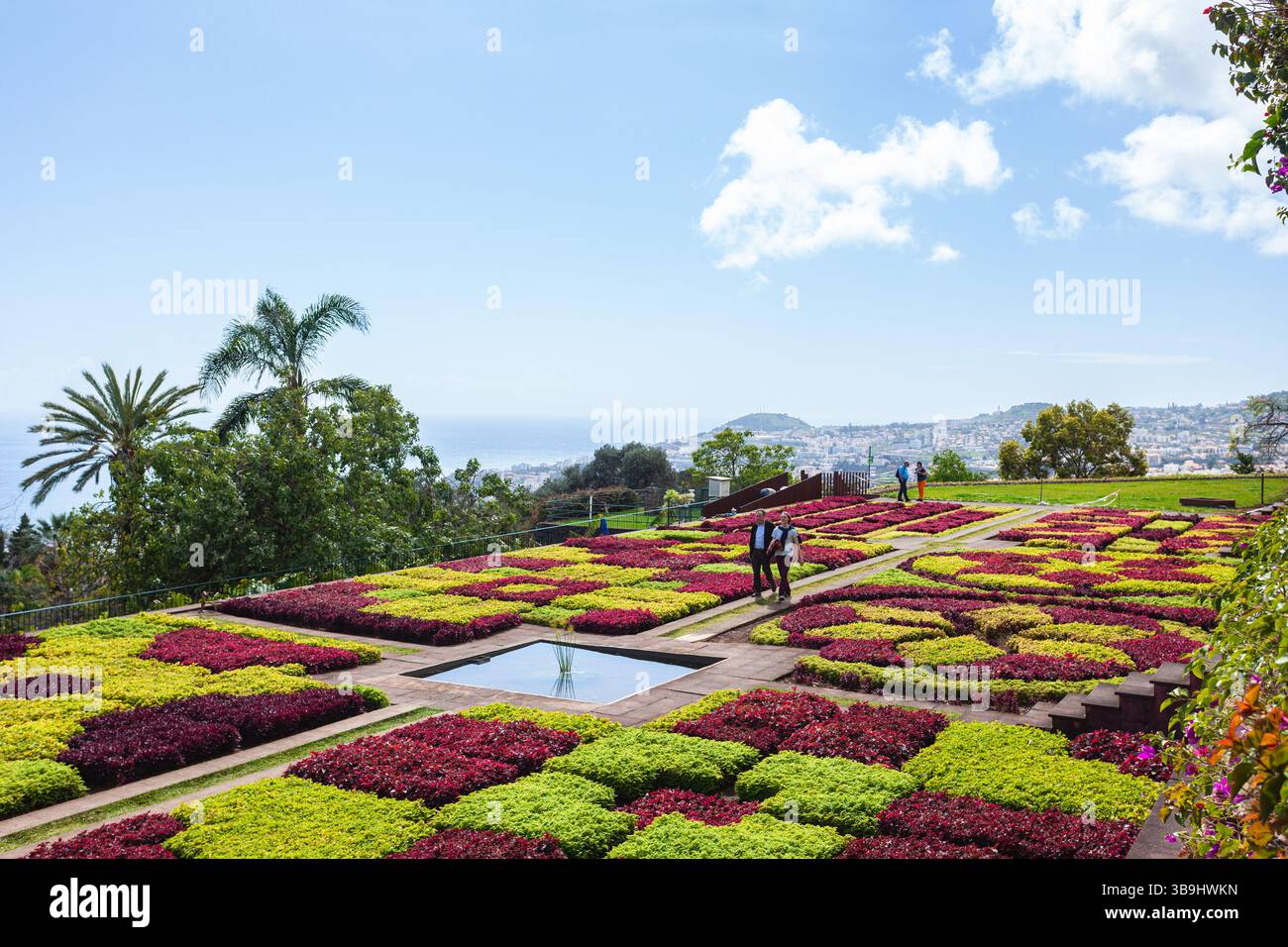 Il Giardino Botanico di Madeira si trova sulla cima della collina di Funchal, con vedute mozzafiato di Madeira e dell'Oceano Atlantico. Foto Stock