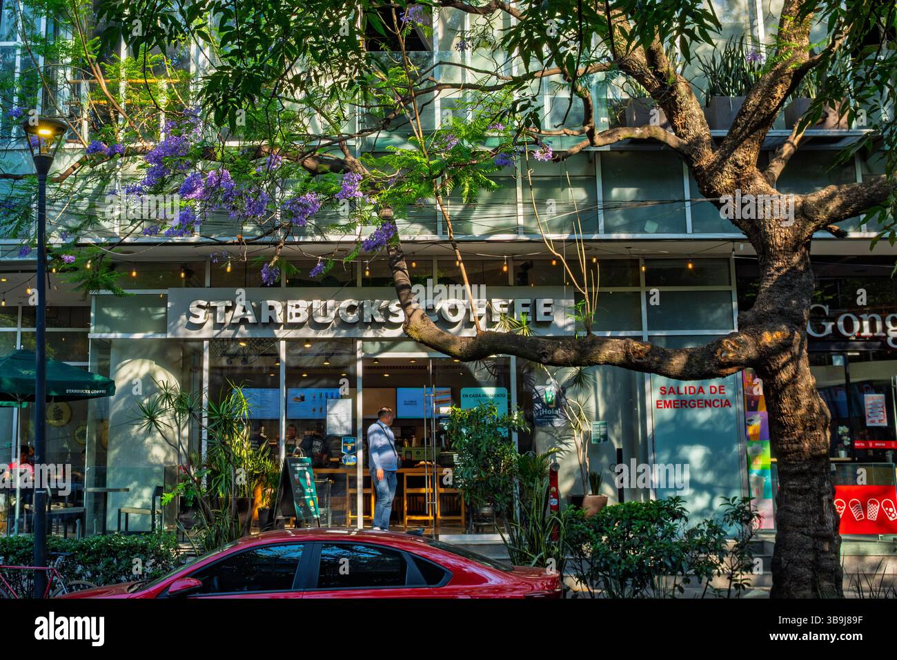 Starbucks, nel quartiere di Condesa, città del Messico, Messico Foto Stock