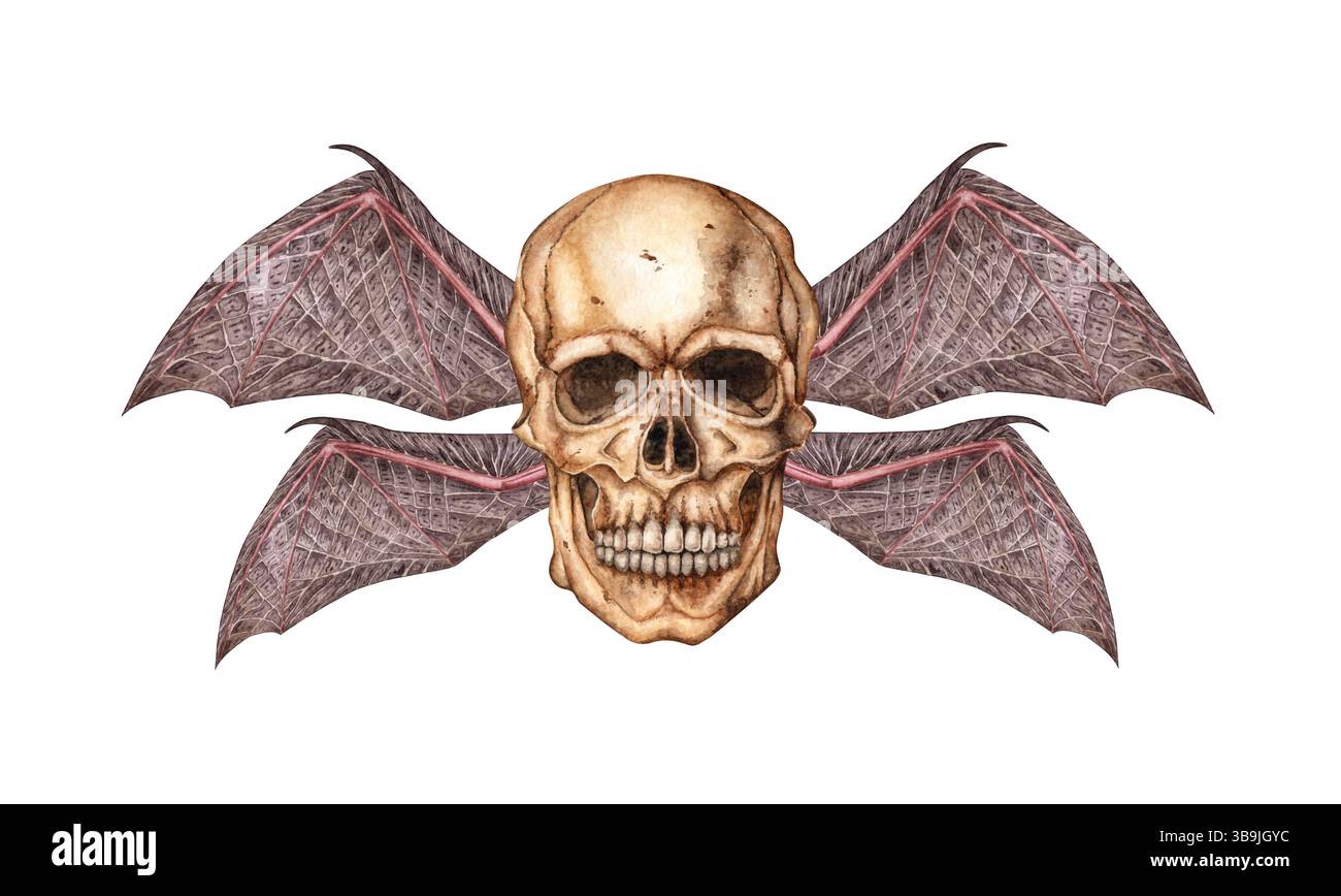 Cranio umano profilo realistico con illustrazione ad acquerello delle ali di pipistrello. Ossa in stile gotico. Giorno dei morti, Halloween, dia de los muertos. Isolato Foto Stock