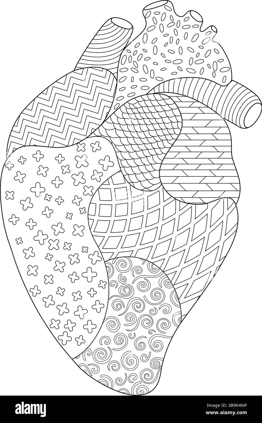Disegno dettagliato del contorno in bianco e nero di un cuore umano pieno di intricati motivi geometrici e organici. Questa illustrazione anatomica stilizzata Illustrazione Vettoriale