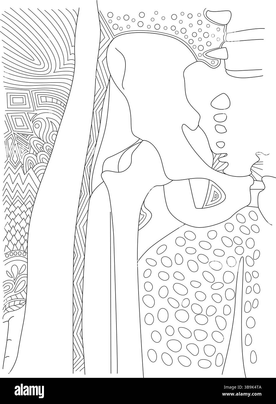 Illustrazione grafica dettagliata dell'articolazione dell'anca umana, inclusi pelvi e testa femorale, combinata con motivi decorativi astratti. Adatto per m Illustrazione Vettoriale
