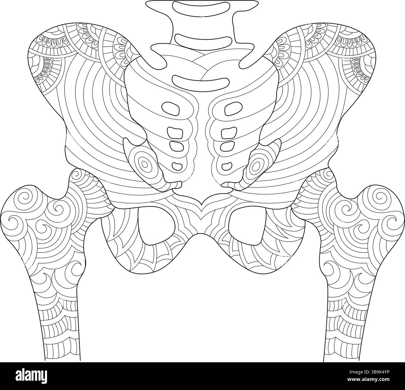 Illustrazione dettagliata della pelvi umana e delle ossa del femore superiore, realizzata in uno stile intricato, astratto e artistico adatto alla medicina, Illustrazione Vettoriale