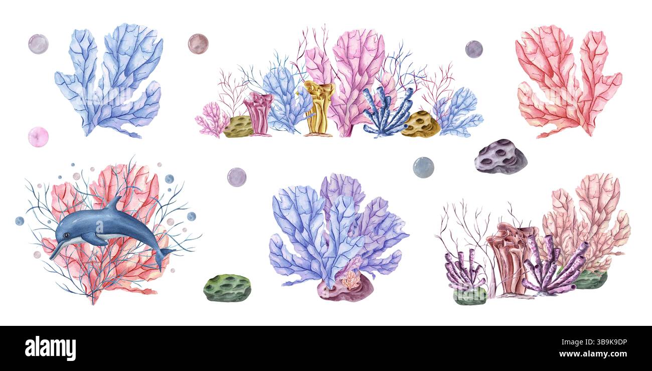 Coralli rosa e blu astratti dipinti a mano e polipi sfondo isolato per illustrazioni ad acquerello clip art. Set di composizione marina per il marchio spa Foto Stock