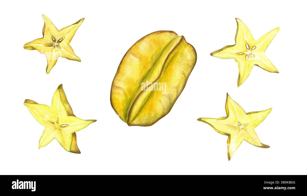Immagini a forma di stella e stelle intere, con acquerello, sfondo isolato. Succosa clip art alla frutta tropicale di carambola dipinta a mano per guarire Foto Stock
