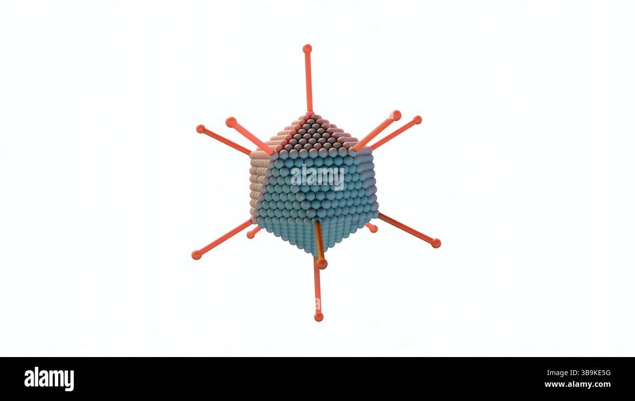 Una rappresentazione 3d dell'adenovirus, evidenziandone i componenti strutturali fondamentali per la sua funzione e l'interazione con le cellule ospiti. Foto Stock