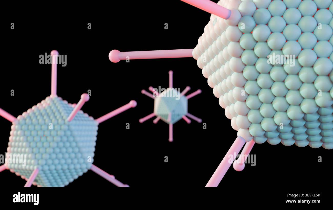 Una rappresentazione 3d dell'adenovirus, evidenziandone i componenti strutturali fondamentali per la sua funzione e l'interazione con le cellule ospiti. Foto Stock
