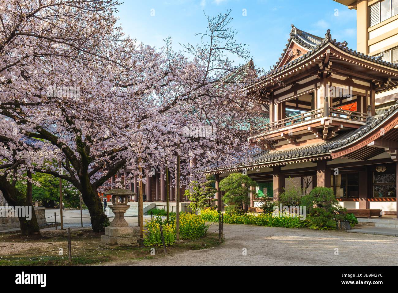 Santuario Tochoji Immagini E Fotografie Stock Ad Alta Risoluzione Alamy santuario-tochoji-immagini-e-fotografie-stock-ad-alta-risoluzione-alamy