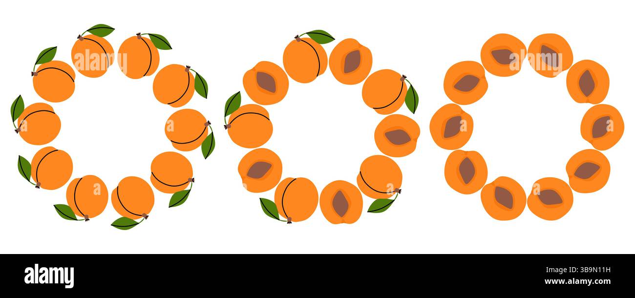 Disposizione circolare dei frutti di pesca con foglie su sfondo bianco Illustrazione Vettoriale