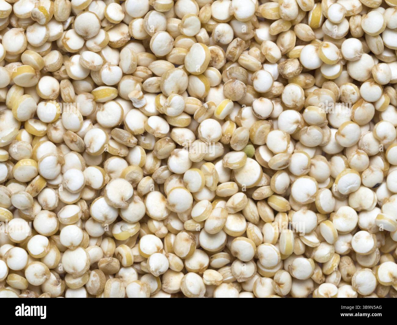Grano di quinoa. Non cotti materie la quinoa come sfondo. Sano cibo vegan concetto e modello Foto Stock