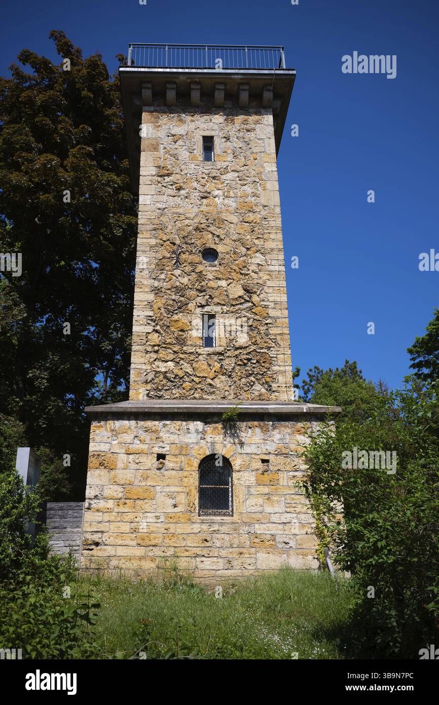Torre Daimler, parte del Gottlieb Daimler Memorial, giardino termale, Bad Cannstatt, Stoccarda, Baden-Wuerttemberg, Germania, Europa Foto Stock