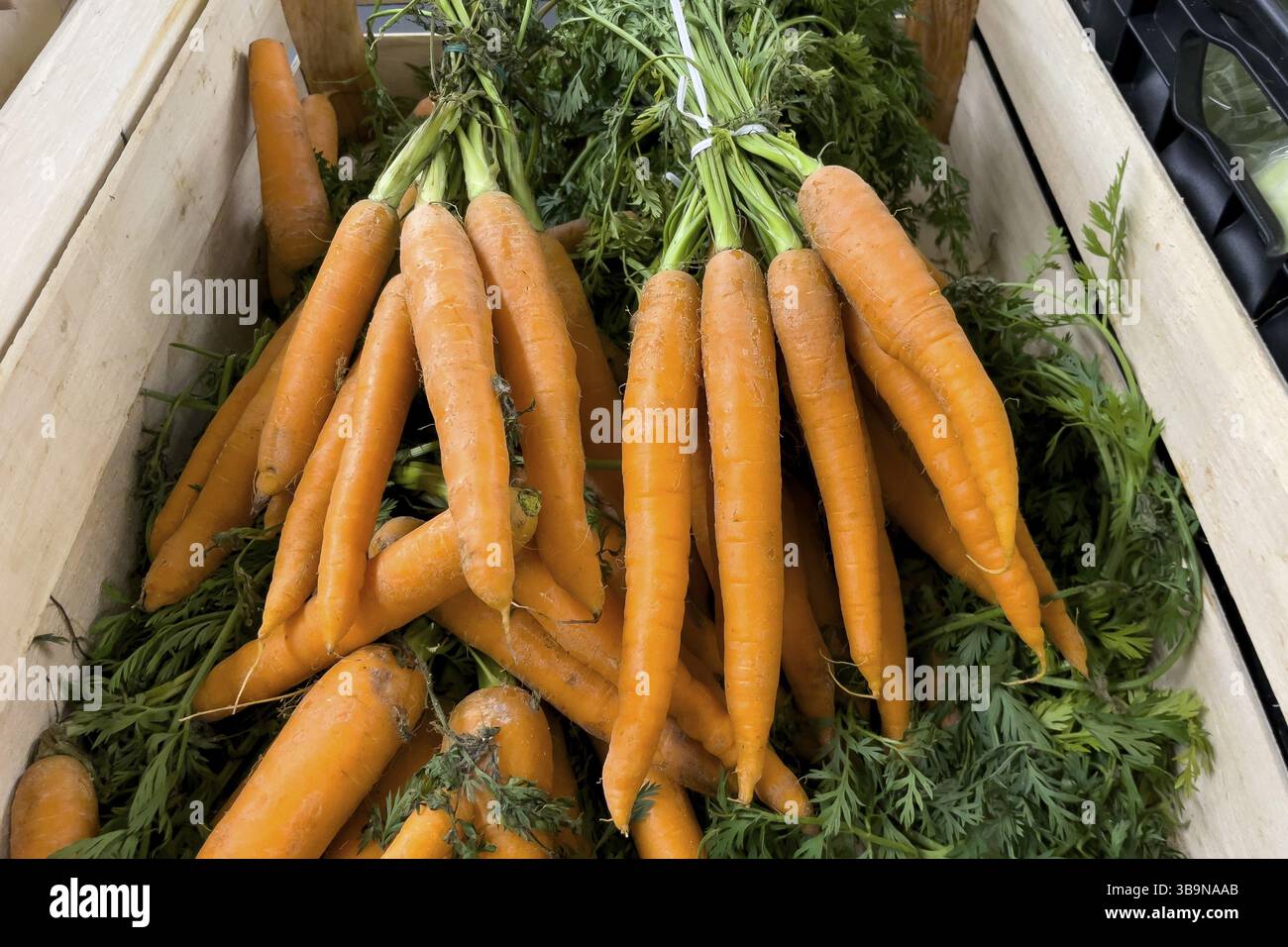 Mazzo di carote (Daucus carota) in esposizione presso il rivenditore all'ingrosso di alimentari, commerciante di ortofrutticoli, internazionale Foto Stock