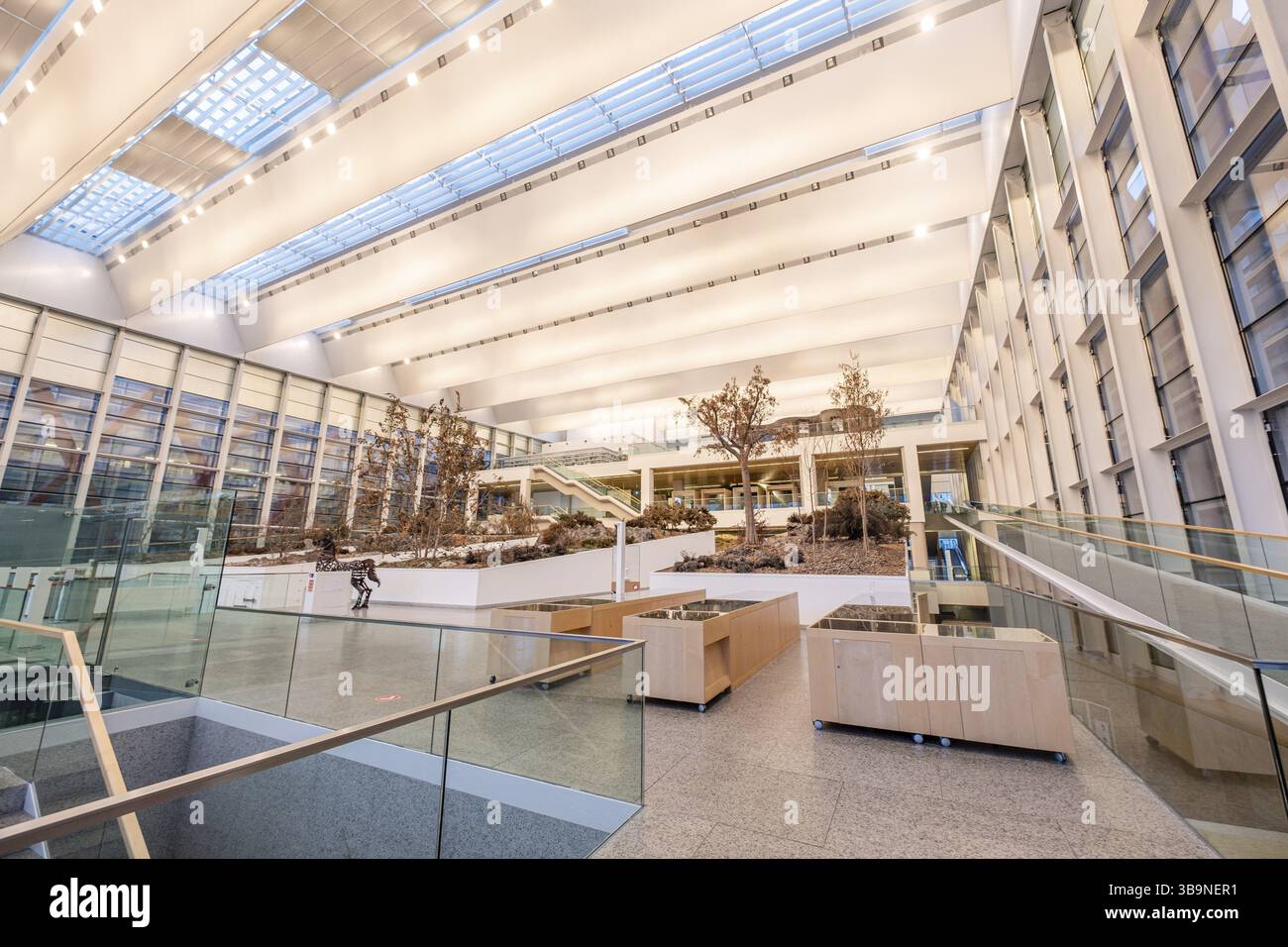 Museo de la evolucion humana, MEH, Burgos, Spagna, Europa Foto Stock