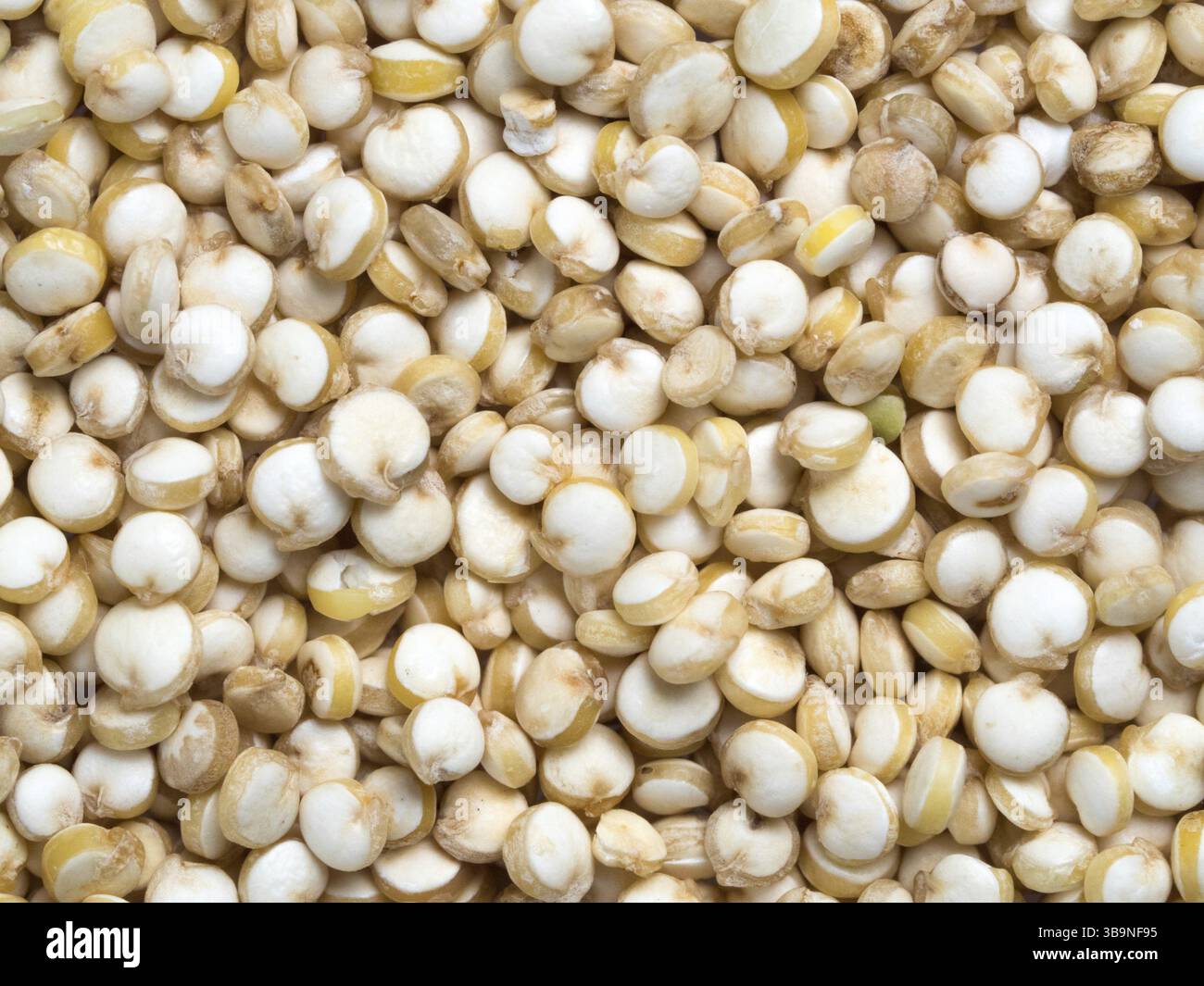Grano di quinoa. Non cotti materie la quinoa come sfondo. Sano cibo vegan concetto e modello Foto Stock