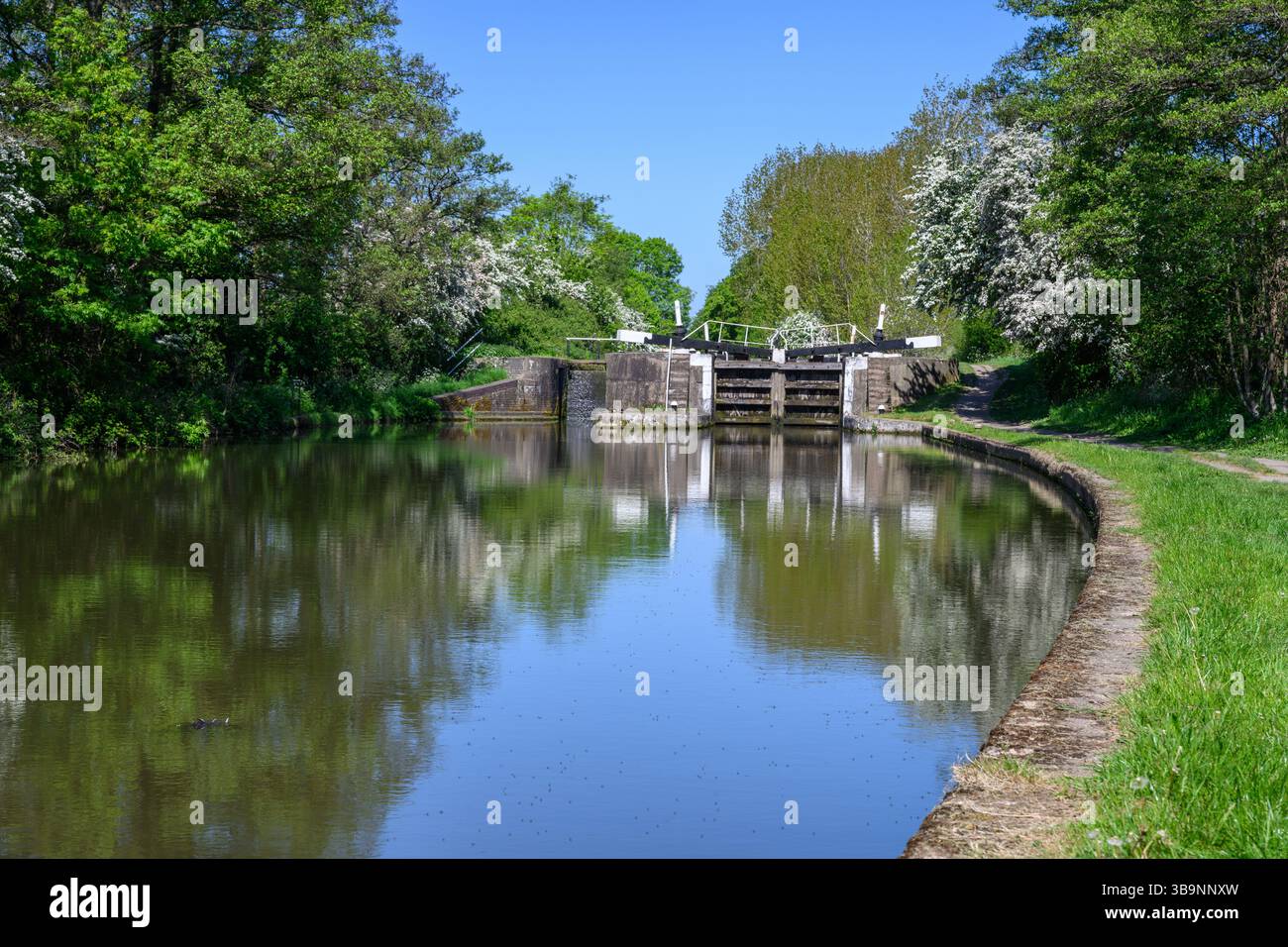 Grand Union Canal nel Warwickshire Foto Stock