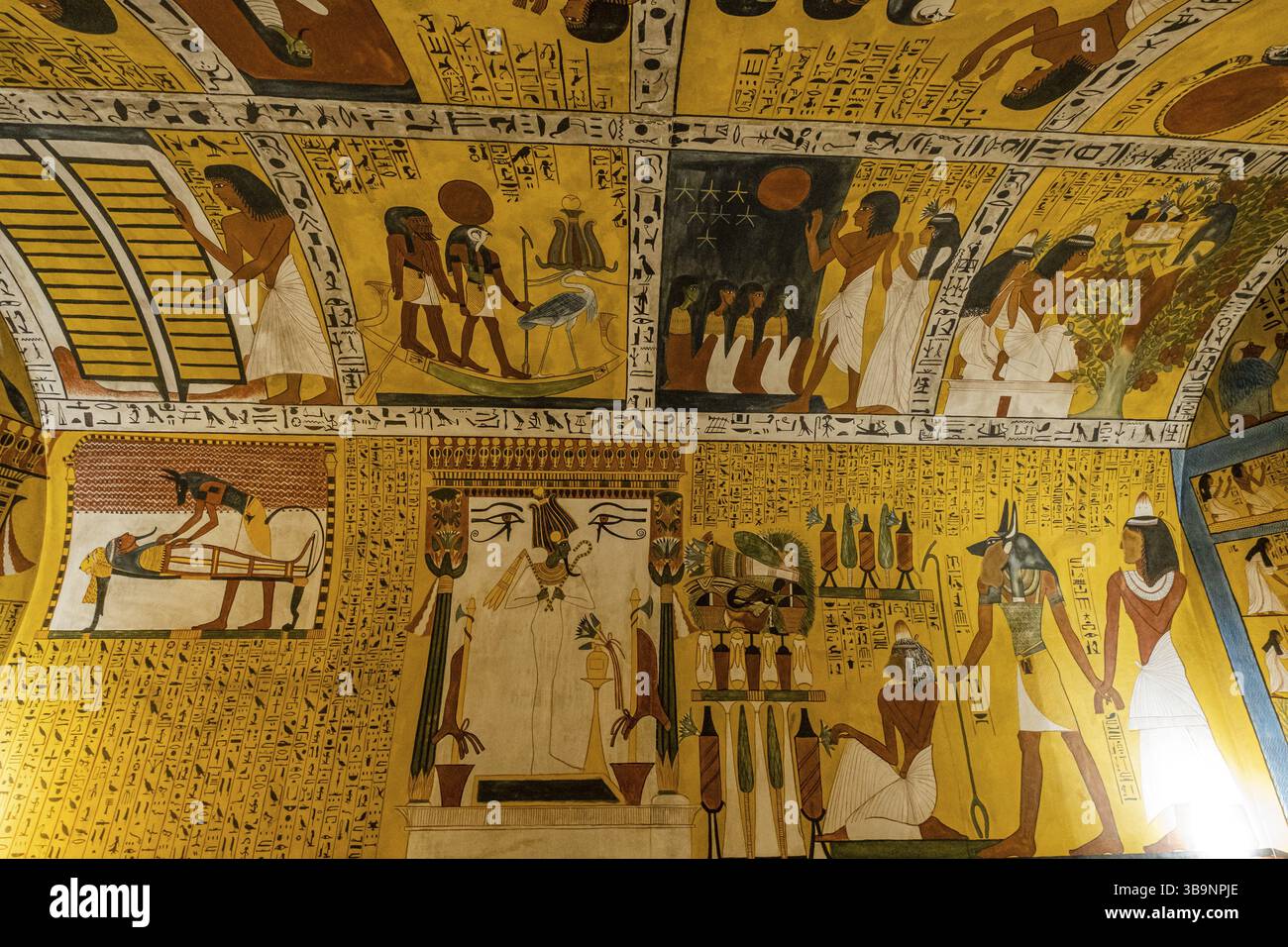 Museo de la evolucion humana, MEH, Burgos, Spagna, Europa Foto Stock