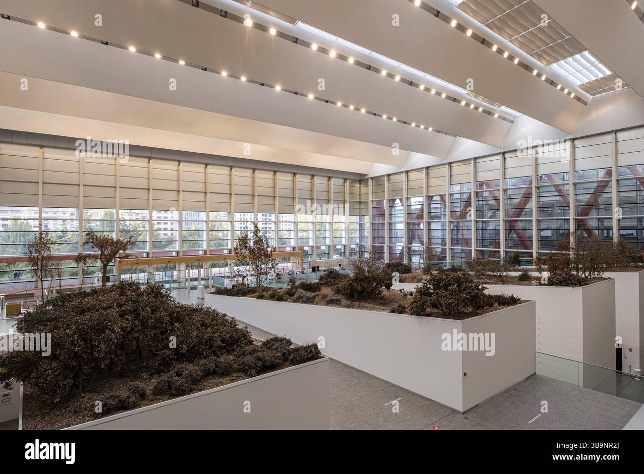 Museo de la evolucion humana, MEH, Burgos, Spagna, Europa Foto Stock