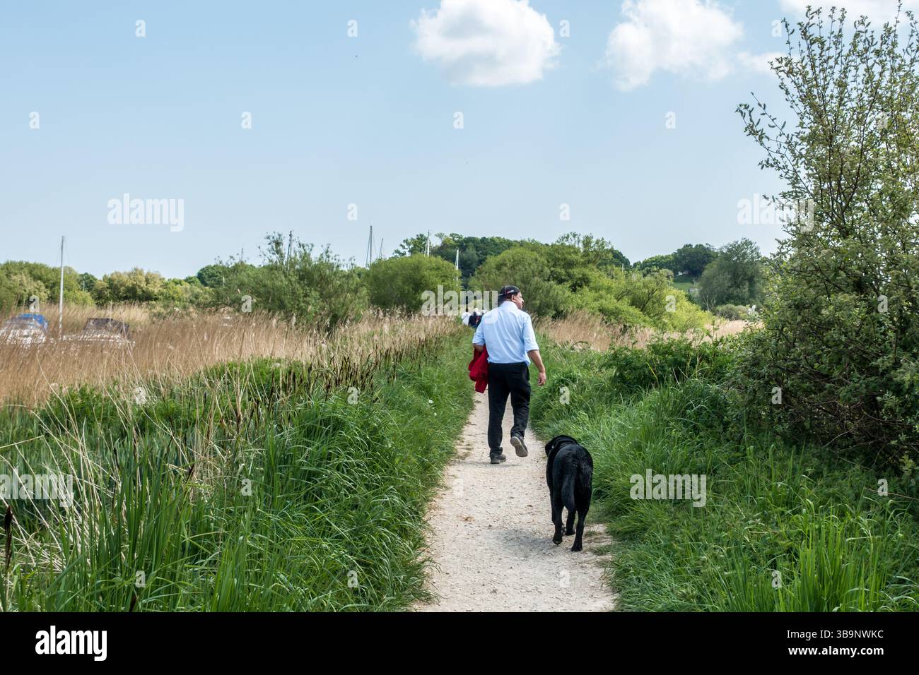 Sentiero a piedi vicino al fiume Frome, Wareham Dorset. Foto Stock