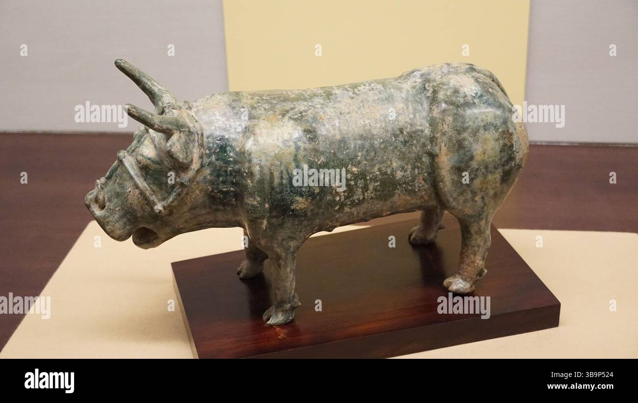 Museo Hikaru: Una gemma nascosta a Takayama Foto Stock