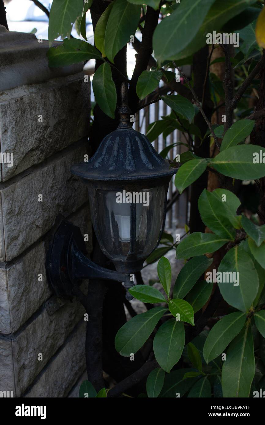Rustica lanterna in metallo nero da esterno montata su un muro di pietra, parzialmente nascosta da lussureggianti foglie verdi. Questo giardino dall'atmosfera suggestiva è ideale per il design Foto Stock