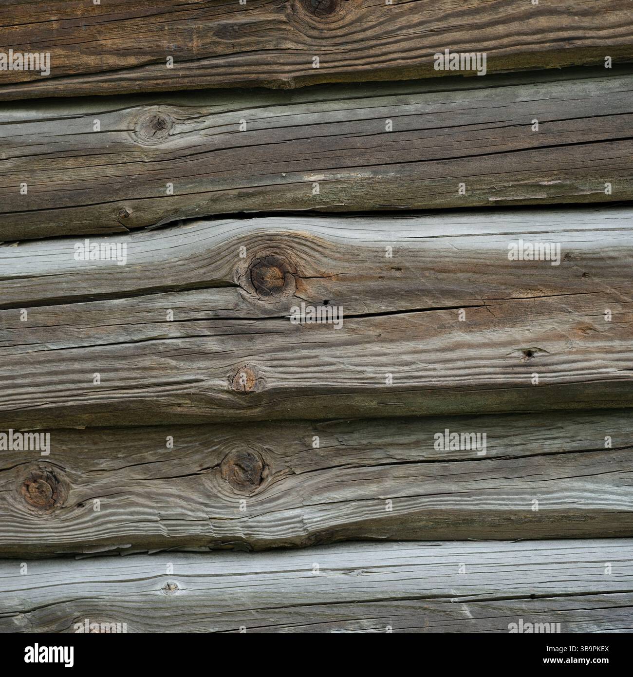 Uno sfondo di vecchie tavole di legno arbustive. Primo piano. Foto Stock